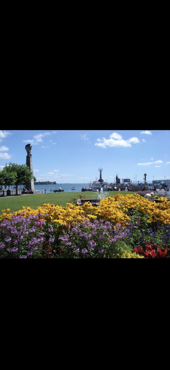 Angela John tweet media