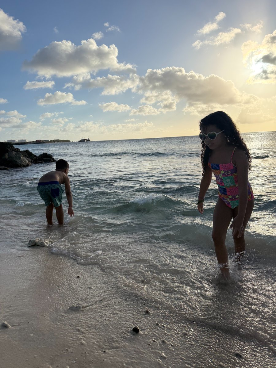 Bonaire Island tweet media