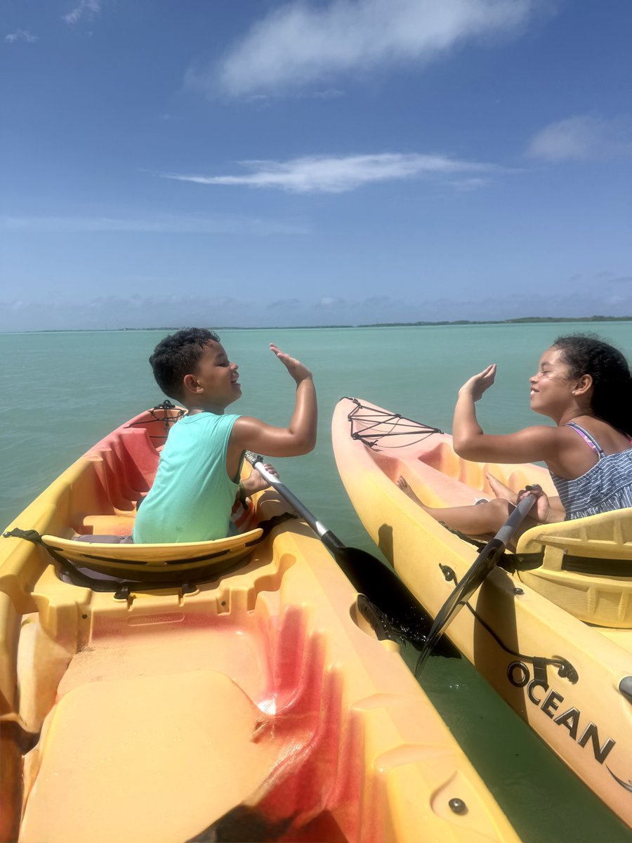 Bonaire Island tweet media