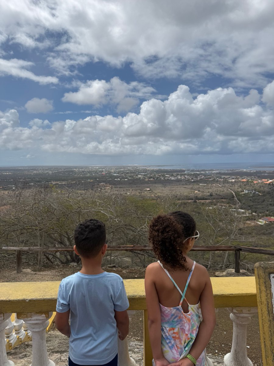 Bonaire Island tweet media
