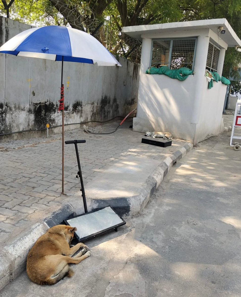 Delhi Airport tweet media