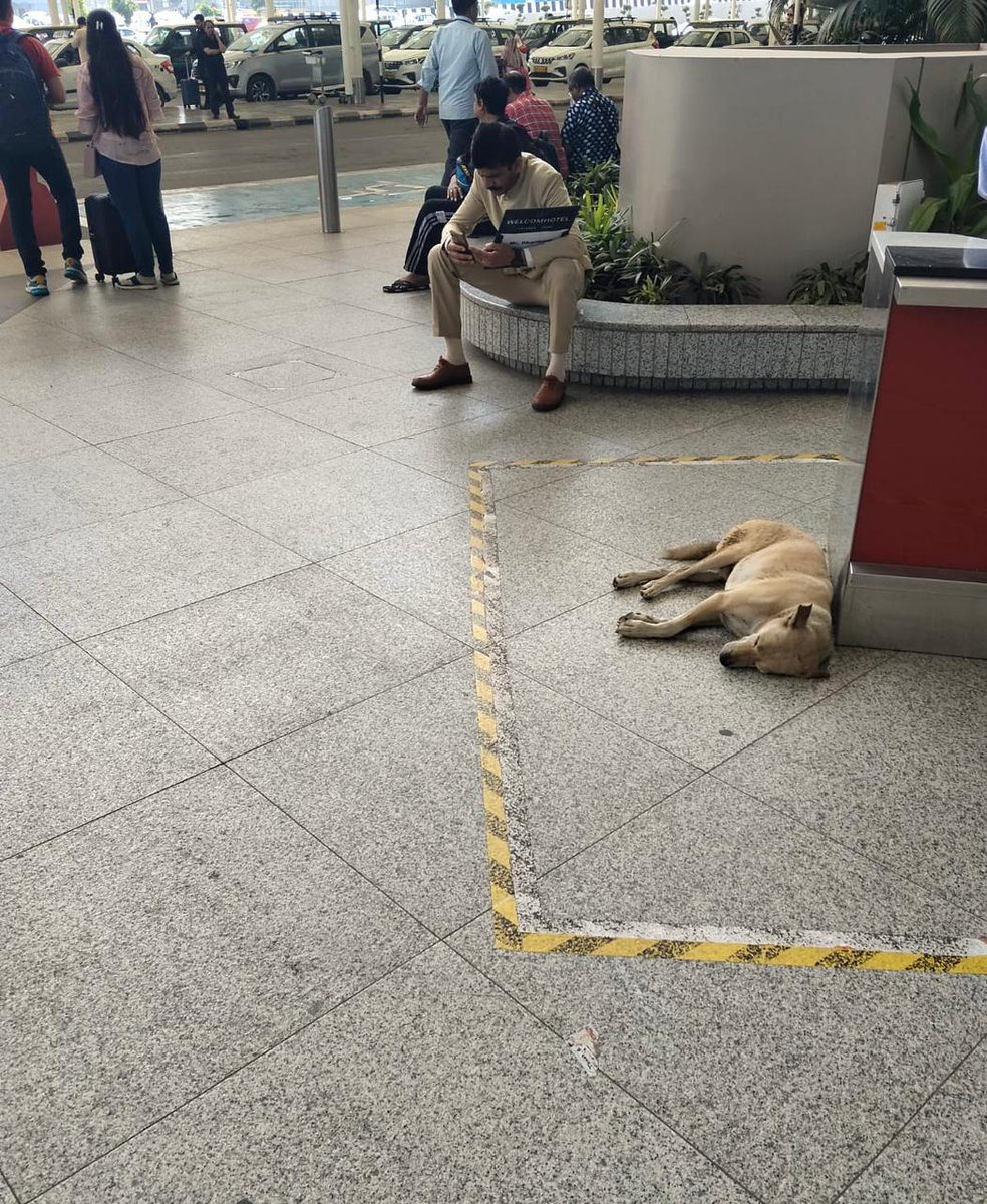 Delhi Airport tweet media