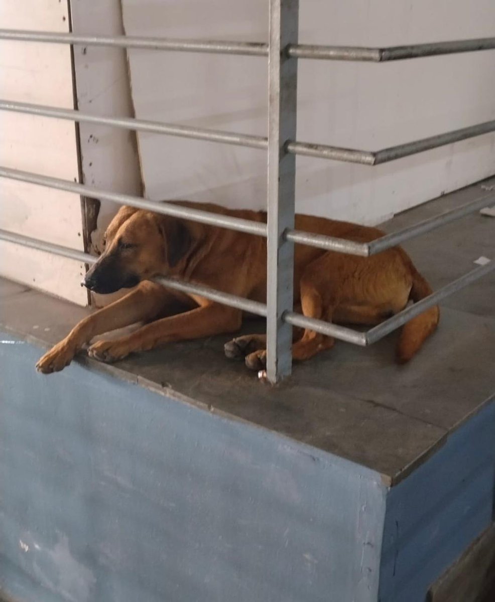 Delhi Airport tweet media