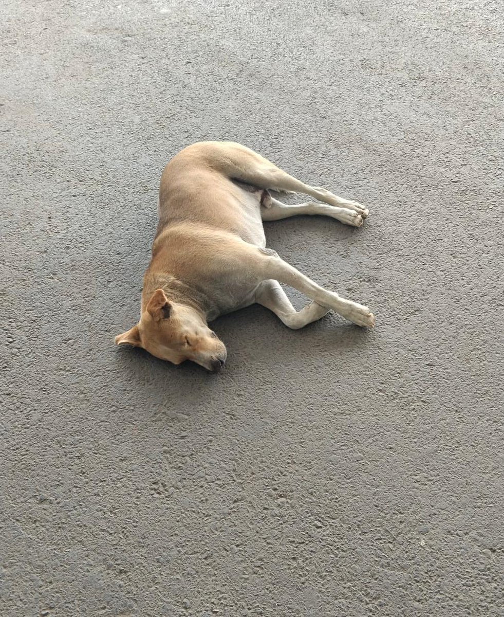 Delhi Airport tweet media