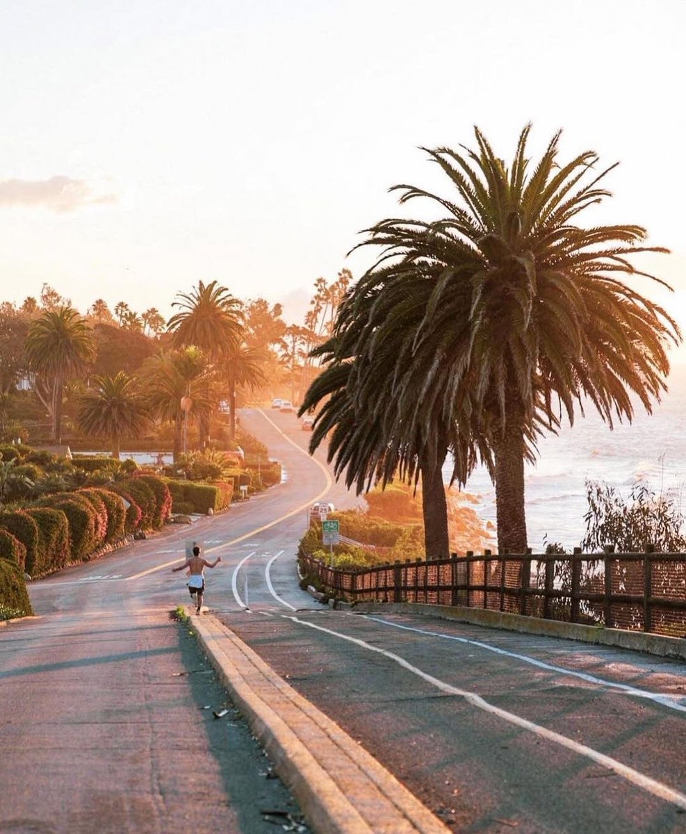 The Nature tweet media