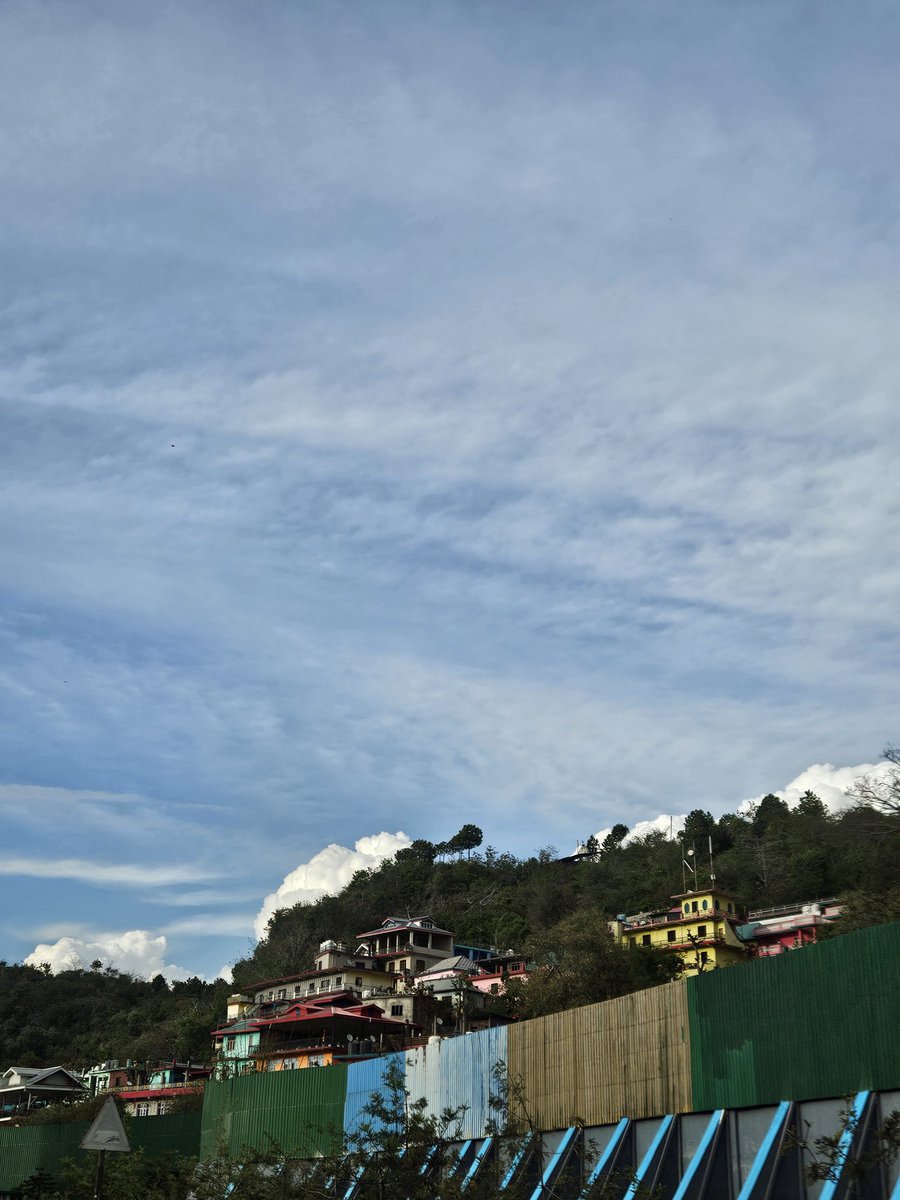 SmoothOperator tweet media