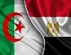 الطير المهاجر tweet media