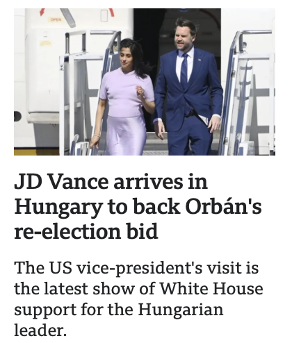 Lobo Tiggre tweet media