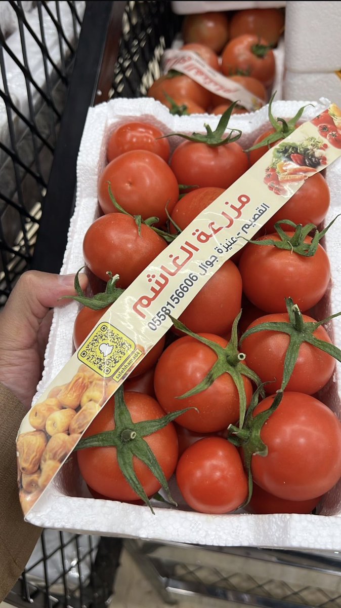 كــولـومـبـوس نـجـد⚔️ tweet media