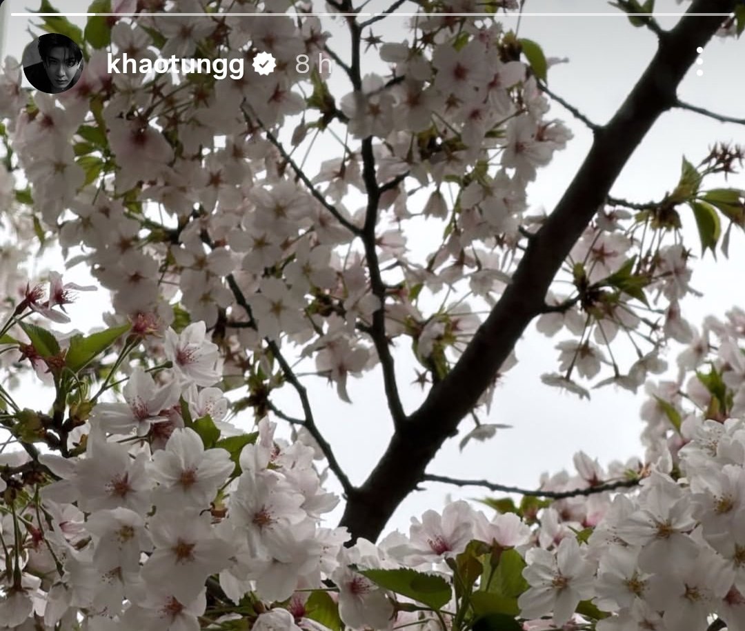 marti lvs Andrew ᶜᶠᶜ ᵉʳᵃ tweet media