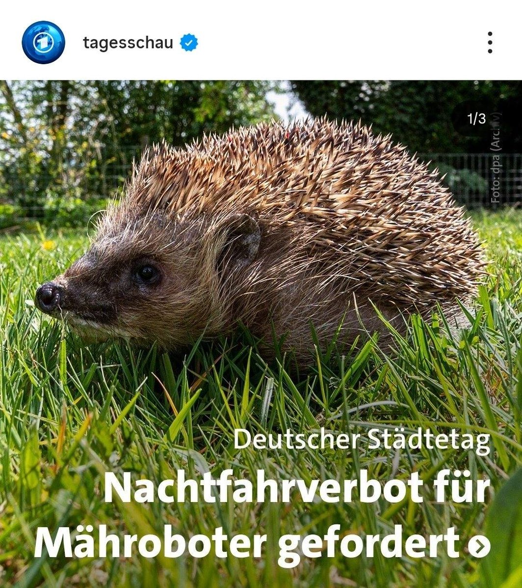 meganuni1 tweet media