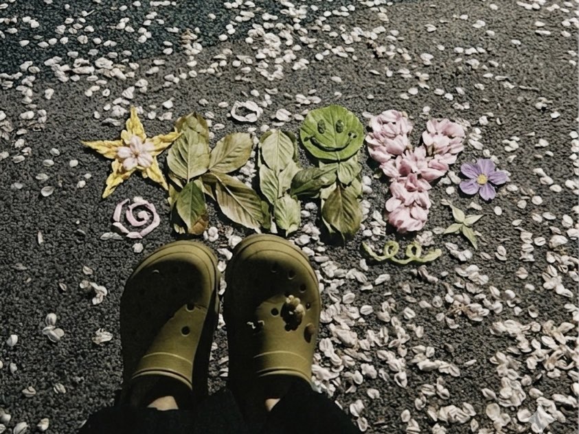 미미데이 tweet media