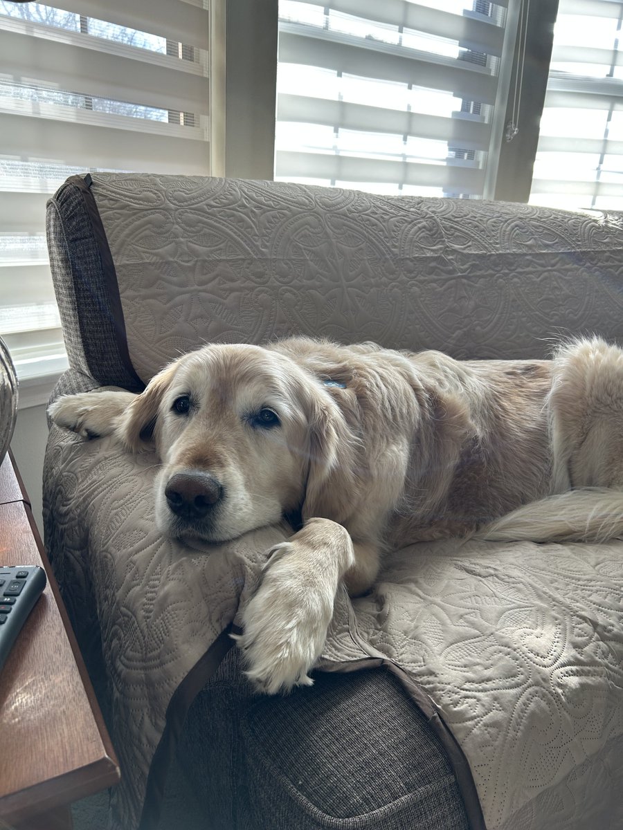 Huckleberry & Holly-berry tweet media