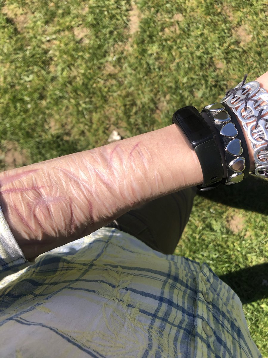 ★ fadingobsessions ★ 🇵🇸 tweet media