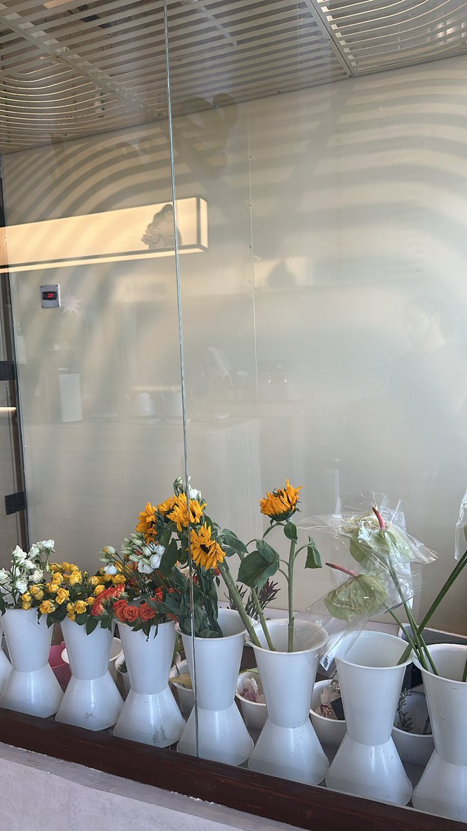 ݁˖𖥔𝑳𝑨𝑴𝑰𝑹𝑨‏ ݁˖𖥔 tweet media