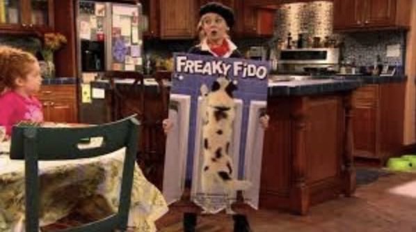 davidmarchie's tweet photo. Here’s to 13th Anniversary of Aloha Nina, Freaky Fido, Freaky Friends & Fan Fiction and Switch It Up! #ImaginationMovers #DogWithABlog #AustinAndAlly #ShakeItUp #13thAnniversary https://t.co/oteD8HWh89