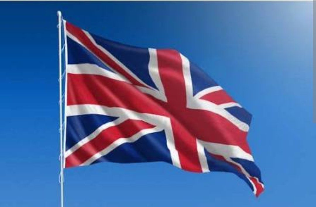 Red Media tweet media