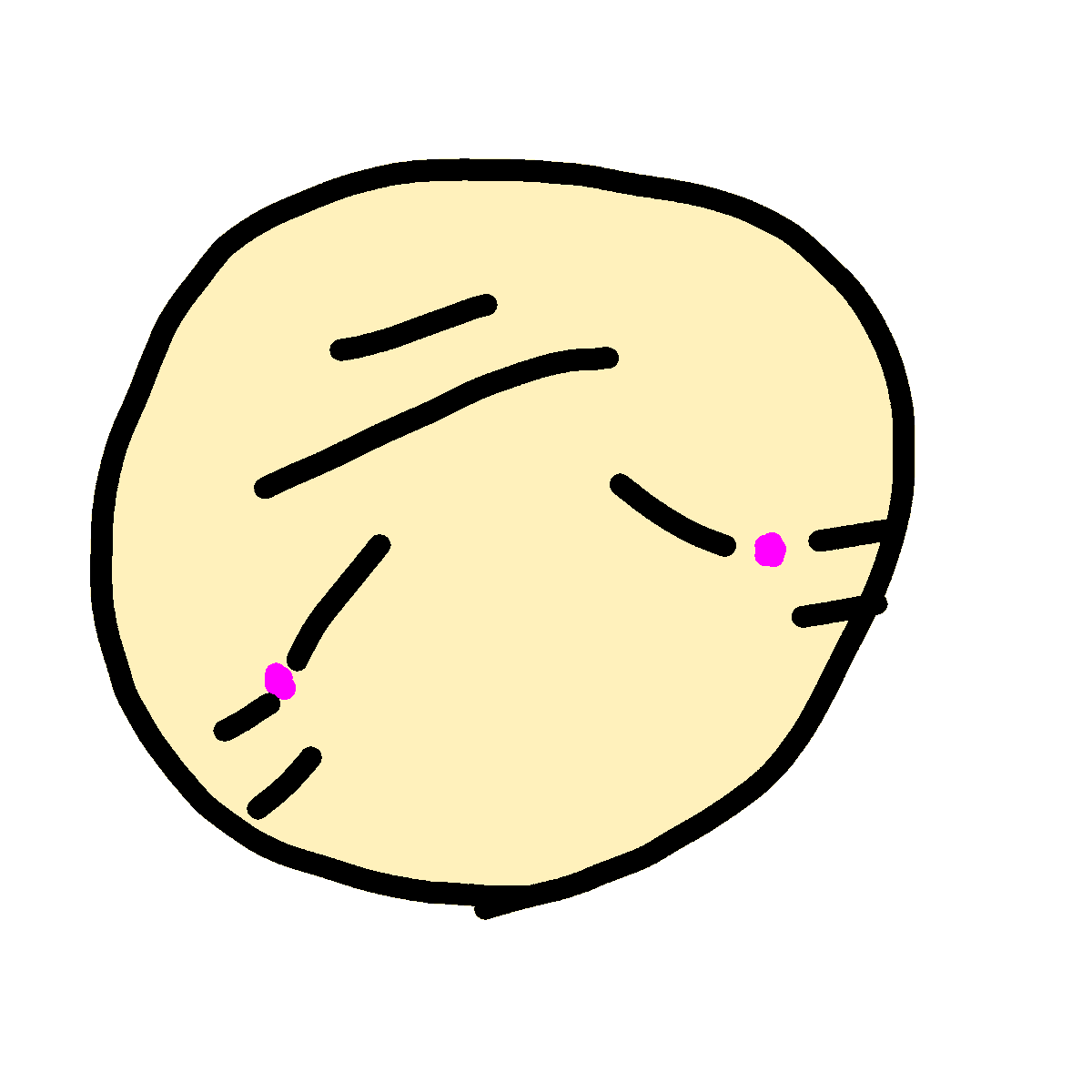 miku.kisaroku tweet media