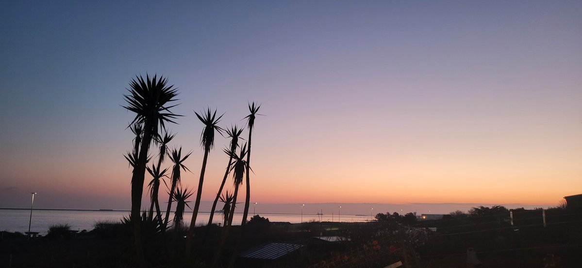 ₪Kalou tweet media