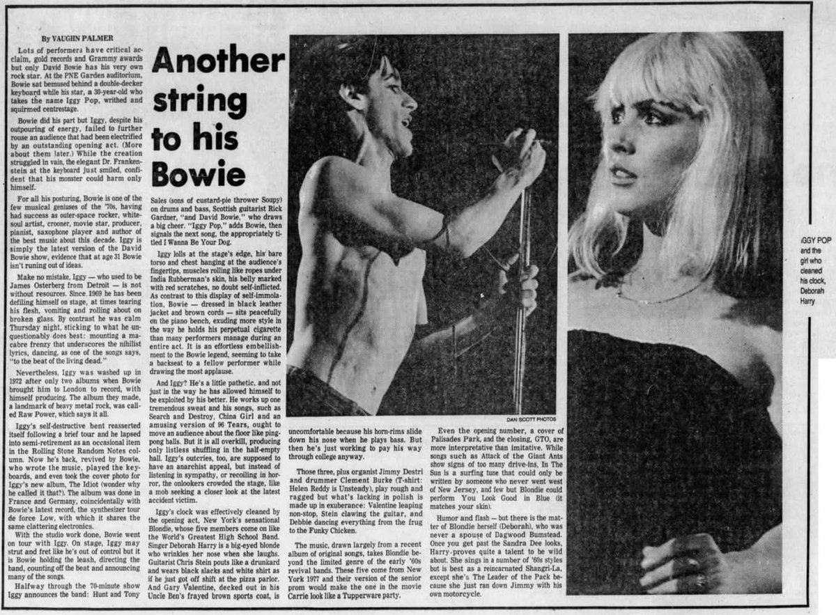 ✨💫Dreaming is free 💫✨ tweet media