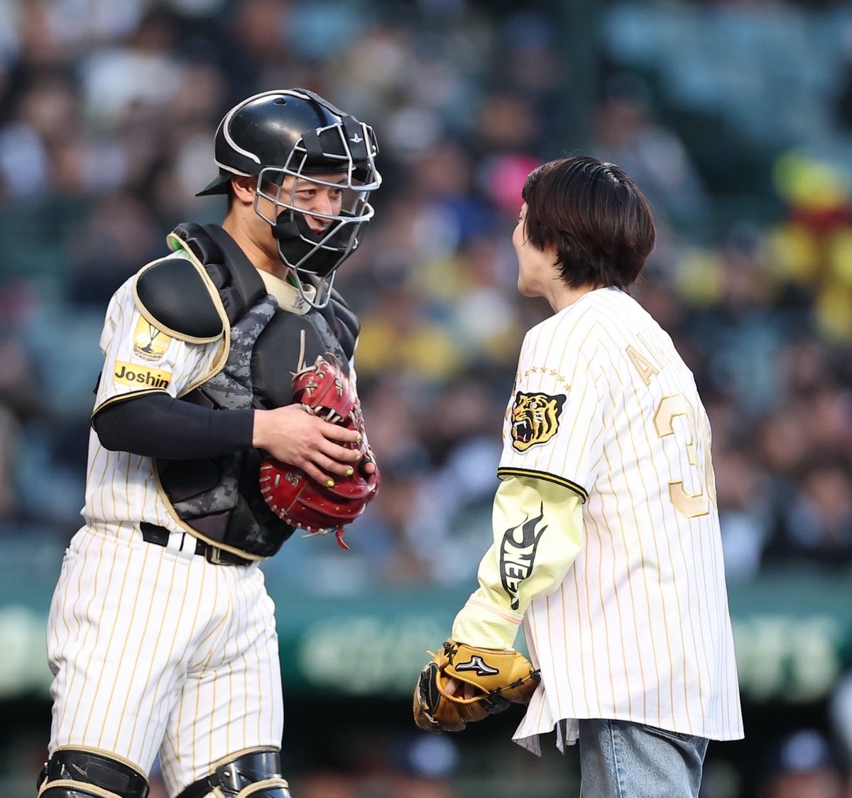 デイリー阪神担当×タイガース tweet media