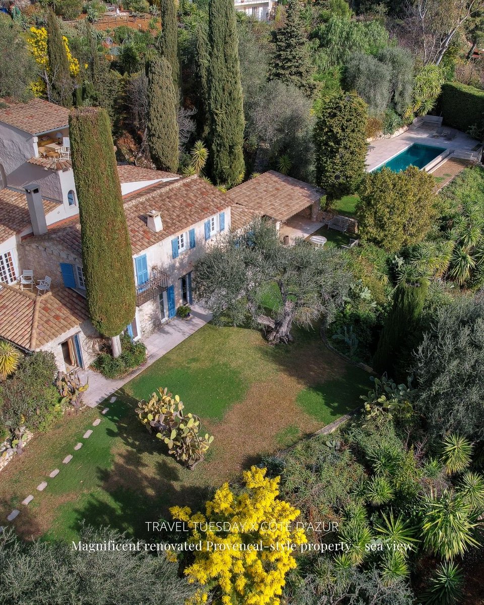 Monte-Carlo Sotheby's Int. Realty tweet media