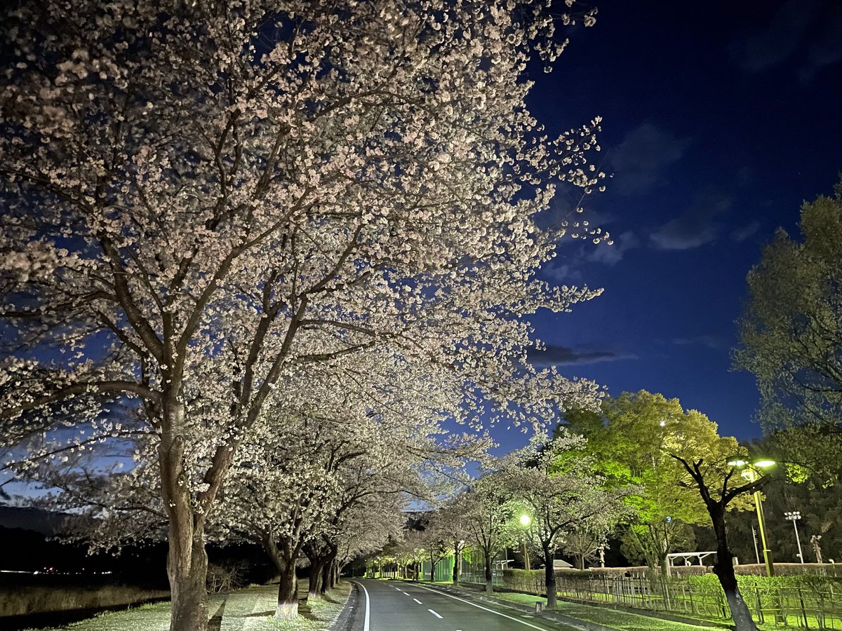 yamamto kazu tweet media