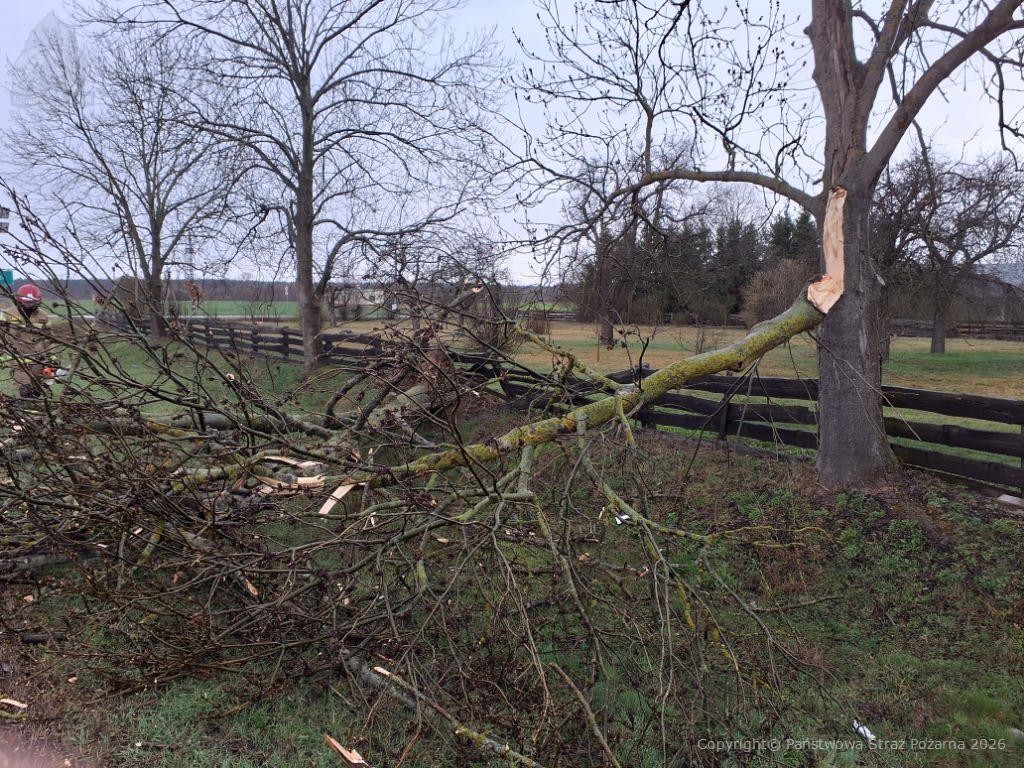 Komenda Powiatowa PSP w Radzyniu Podlaskim tweet media