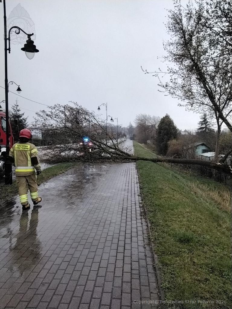 Komenda Powiatowa PSP w Radzyniu Podlaskim tweet media