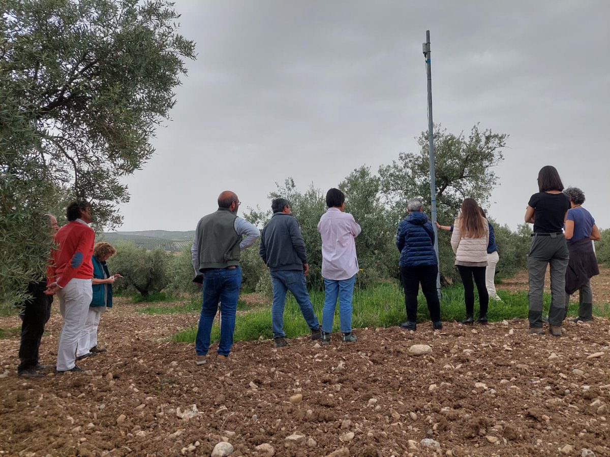 Demofarm Andalucia tweet media