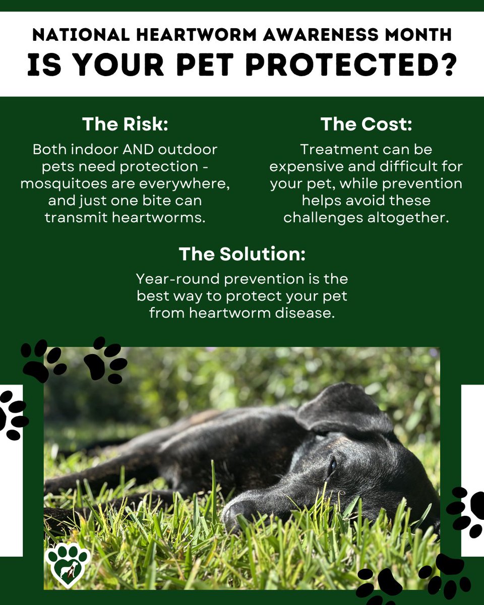 Animal Hosp. Sussex tweet media