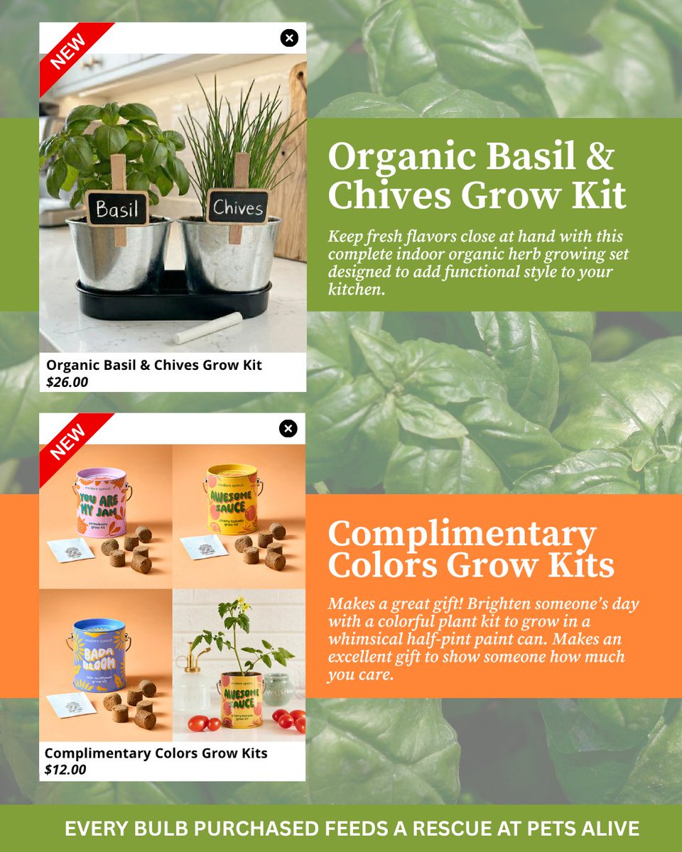 Pets Alive tweet media