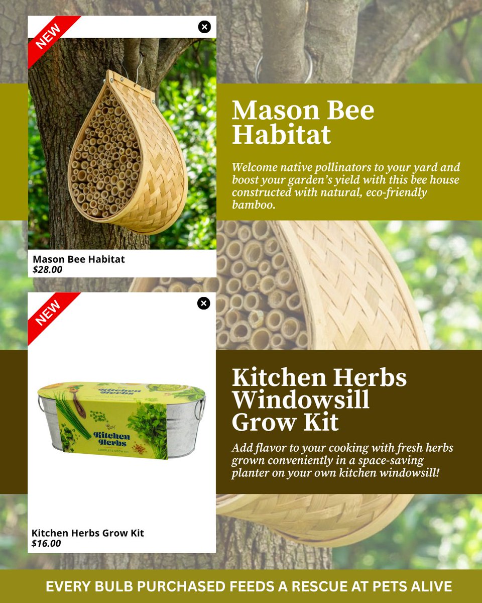 Pets Alive tweet media