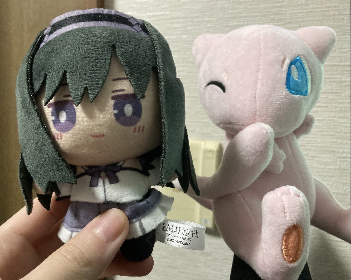 Lilli_world1207's tweet photo. ぬい https://t.co/npV8MEOBhm