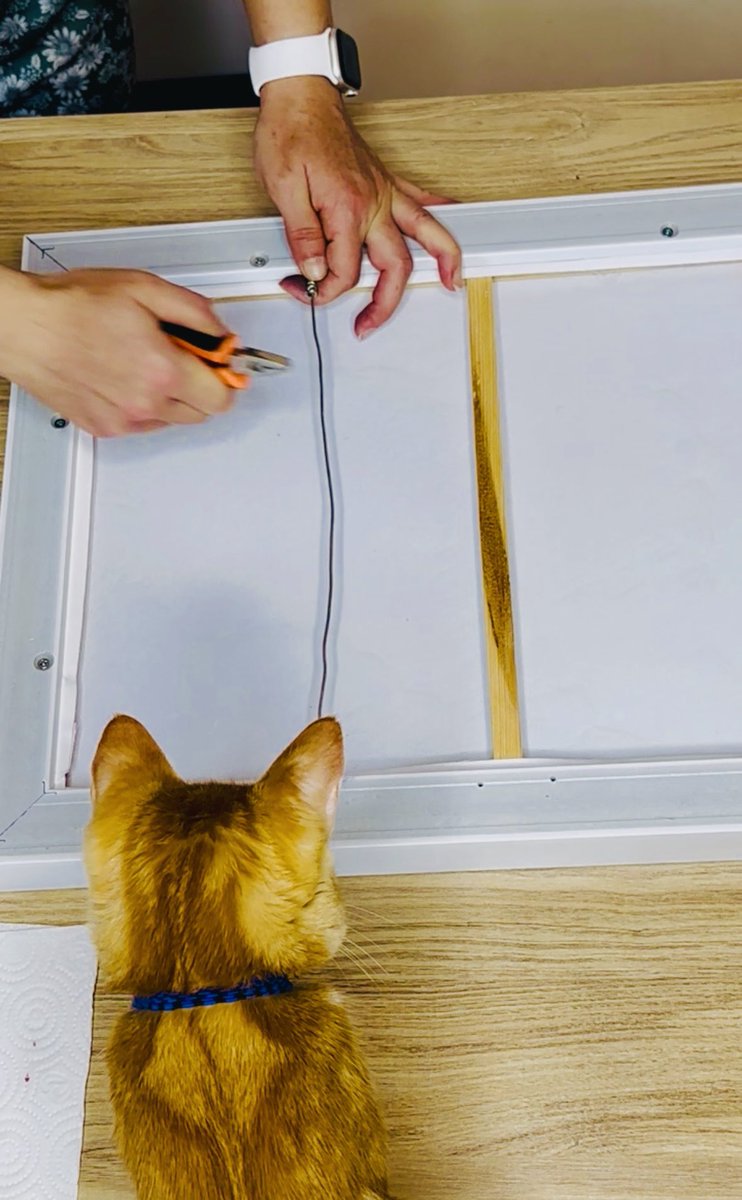 ꫀꪶꪜﺃꪀ tweet media