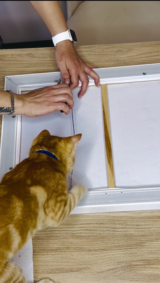 ꫀꪶꪜﺃꪀ tweet media