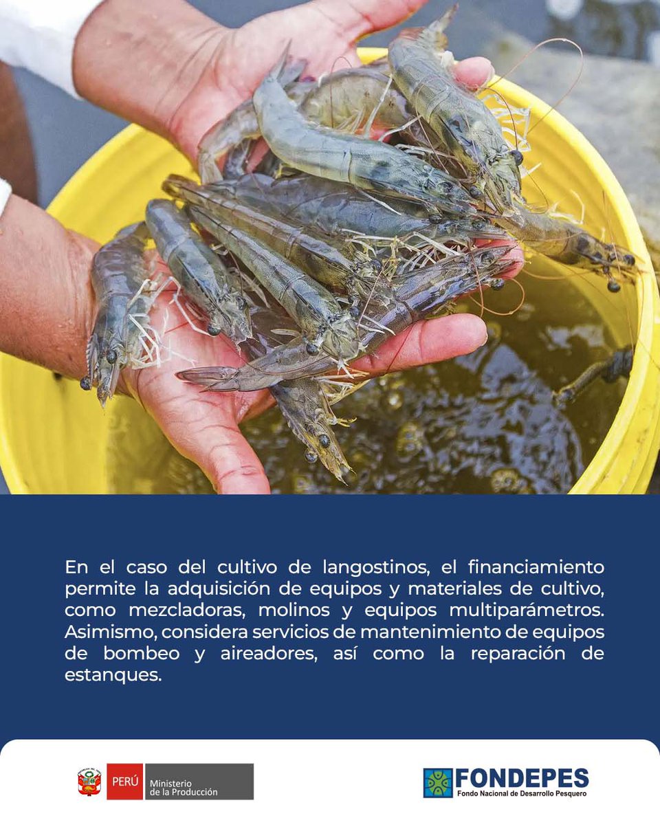 FONDEPES tweet media