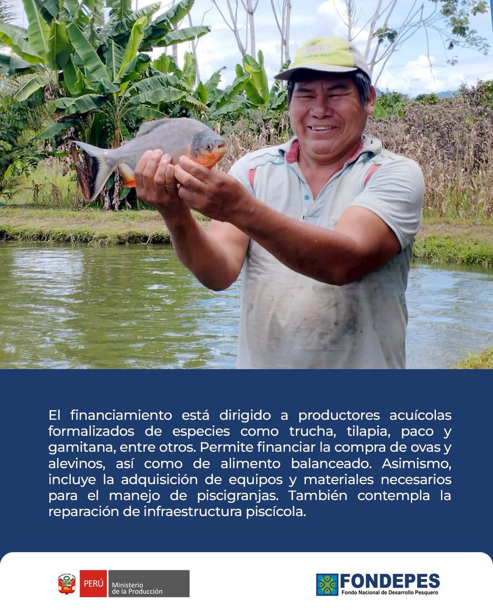 FONDEPES tweet media