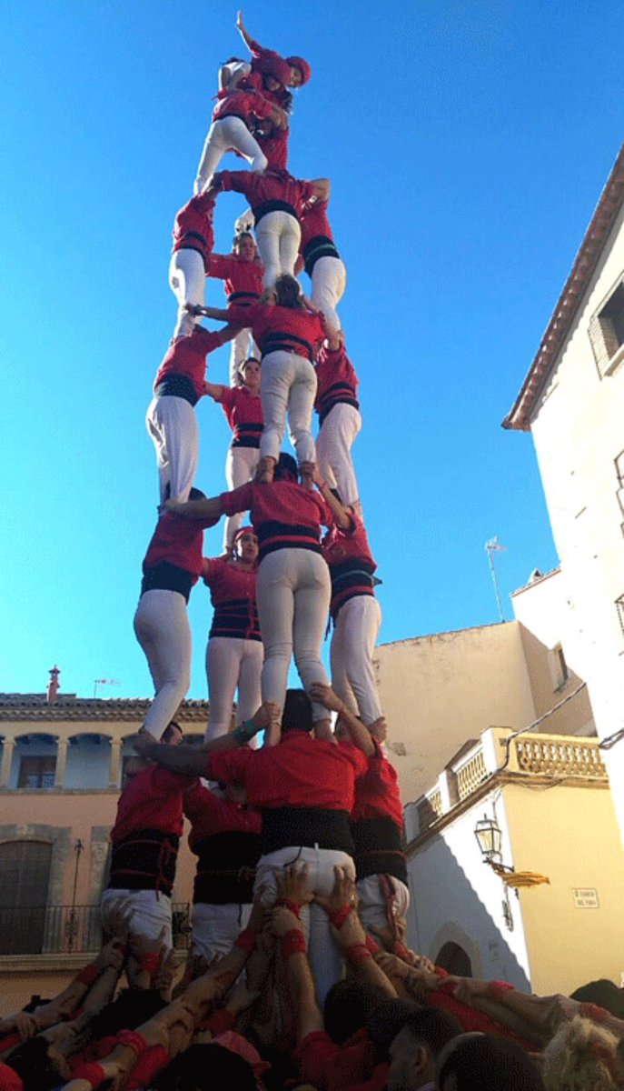 Revista Castells tweet media