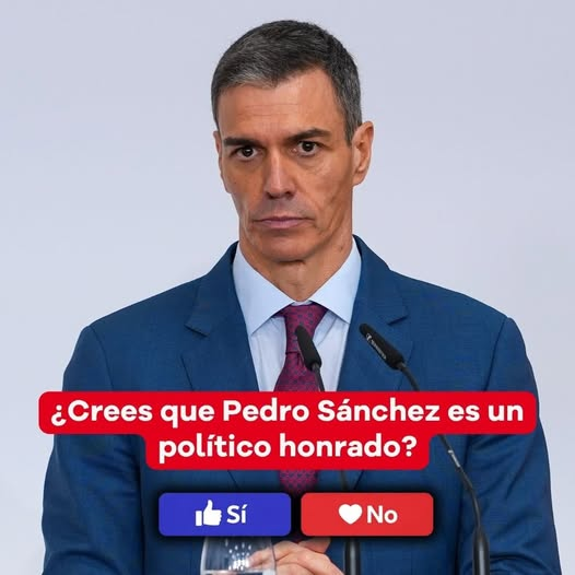 Roberto Alcazar 🇪🇸 tweet media