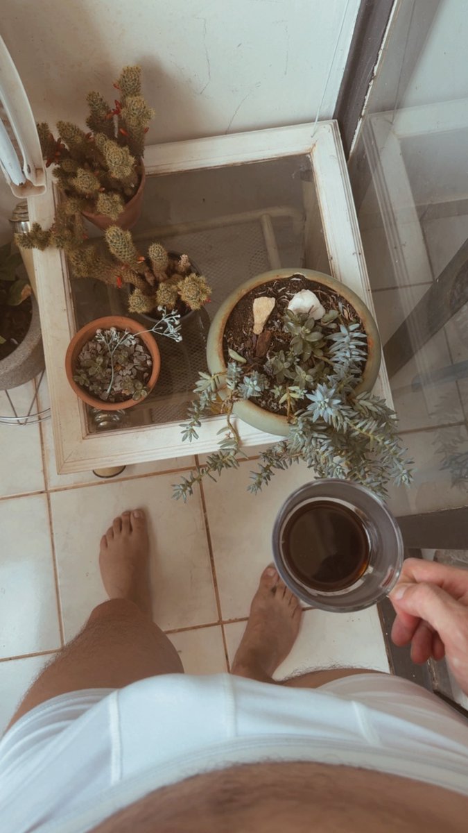 Brazilian Boy tweet media