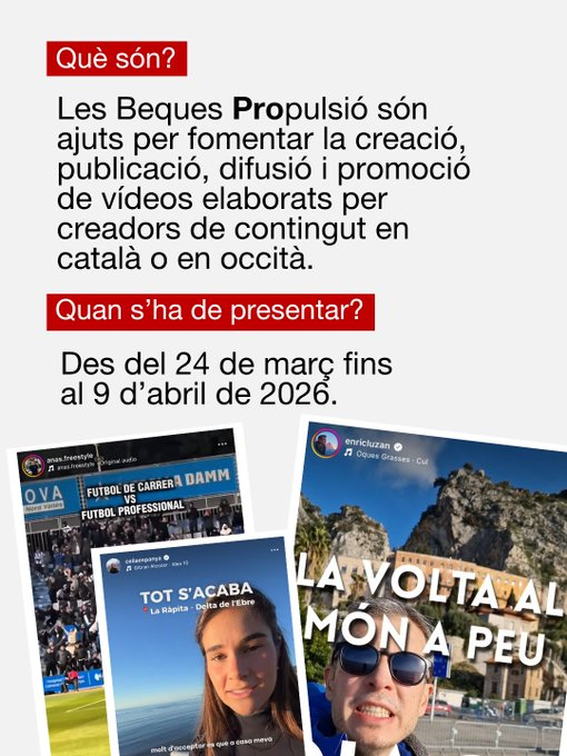 Política Lingüística tweet media