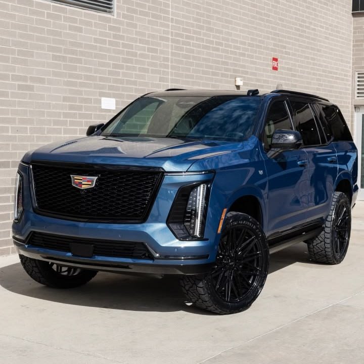 👑 Julian 👑 tweet media