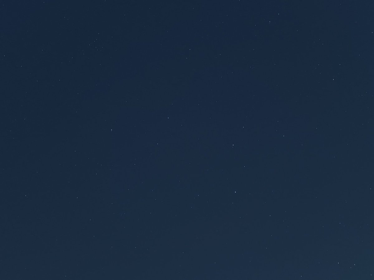 ネコペン tweet media