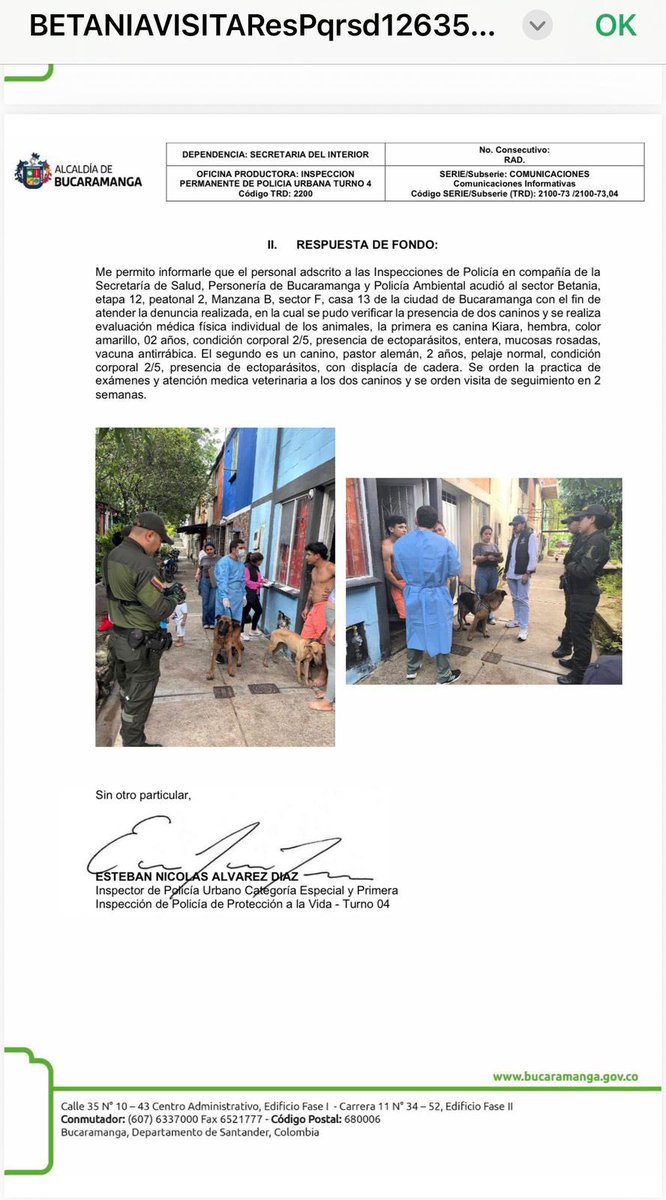 Asociacion de Protección Animal Mi Mejor Amigo tweet media