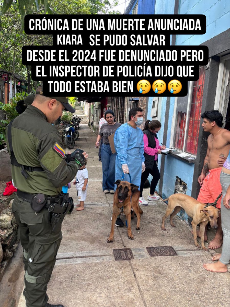 Asociacion de Protección Animal Mi Mejor Amigo tweet media