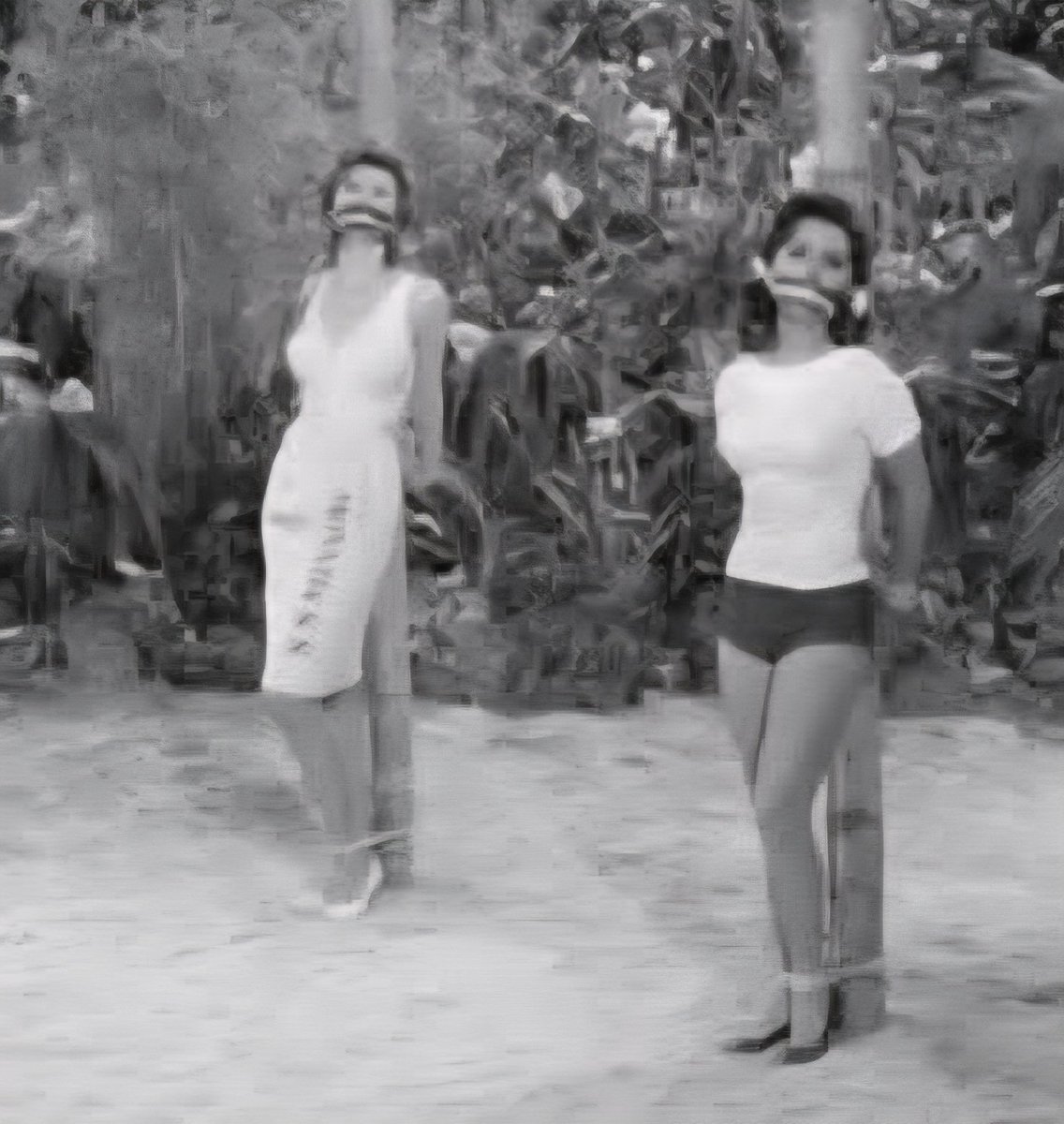 Johnny Cadillac tweet media