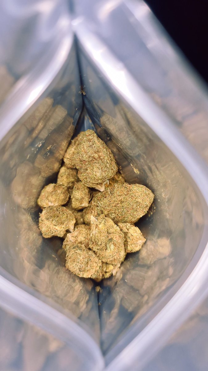 Piitiicchíá tweet media