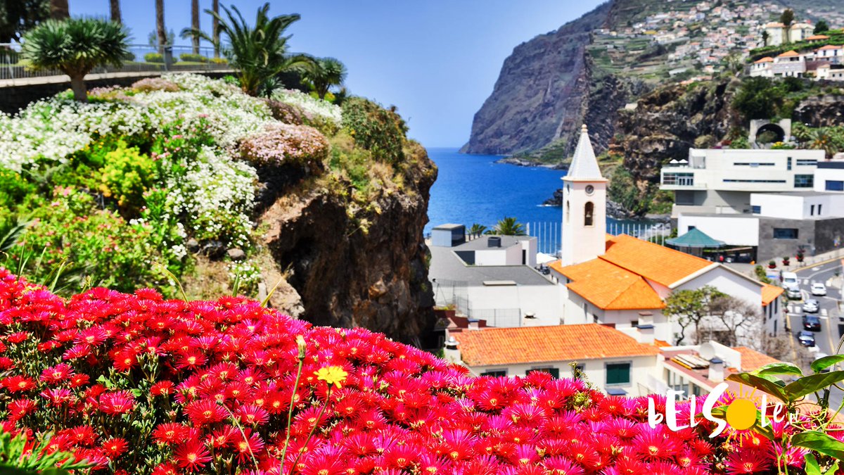 Olivia SMArt tweet media