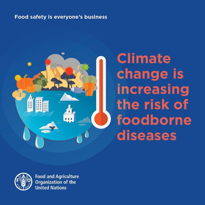 FAOWHOCodex's tweet image. 📝 | #ClimateChange is increasing the risks of foodborne diseases by impacting on the occurrence, distribution or virulence of biological and chemical hazards.  

#FoodSafety